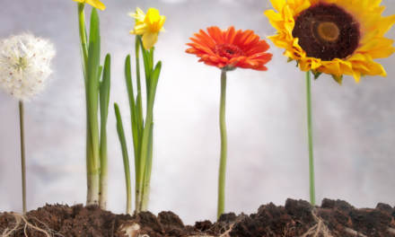 The Roots of Limiting Beliefs that Keep Us From Transformation